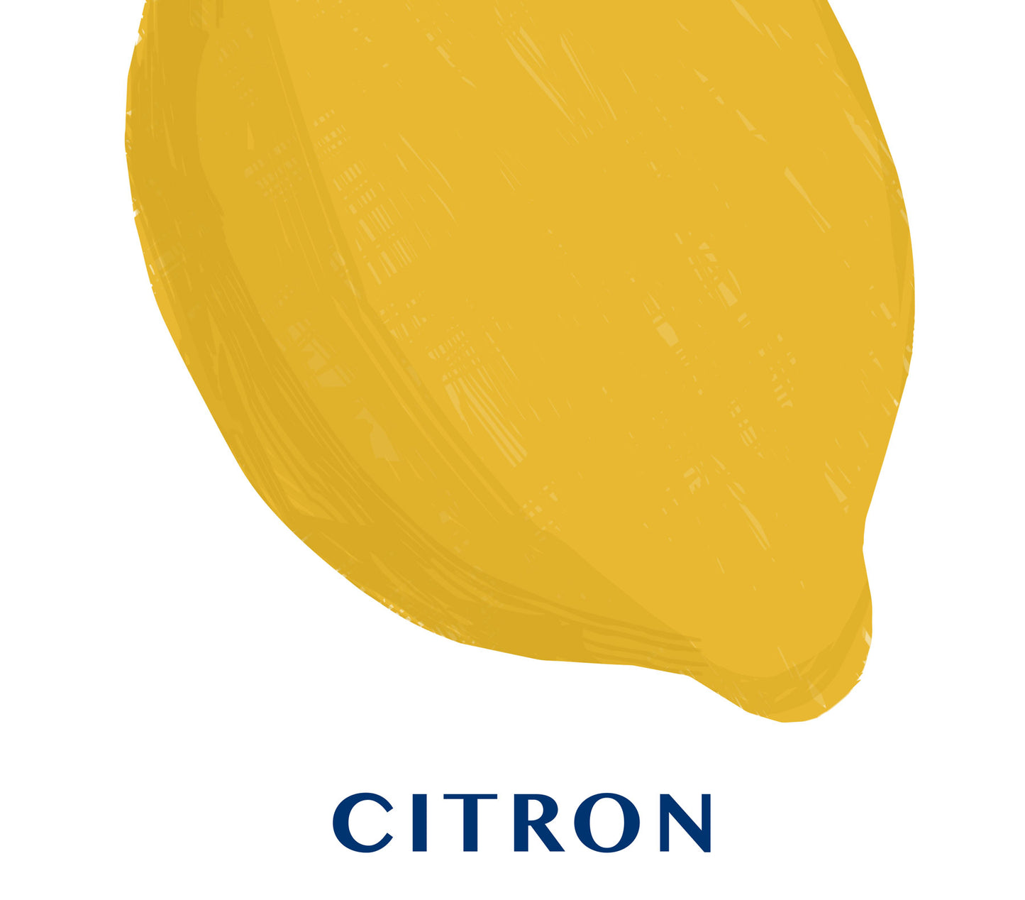 Lemon Art Print